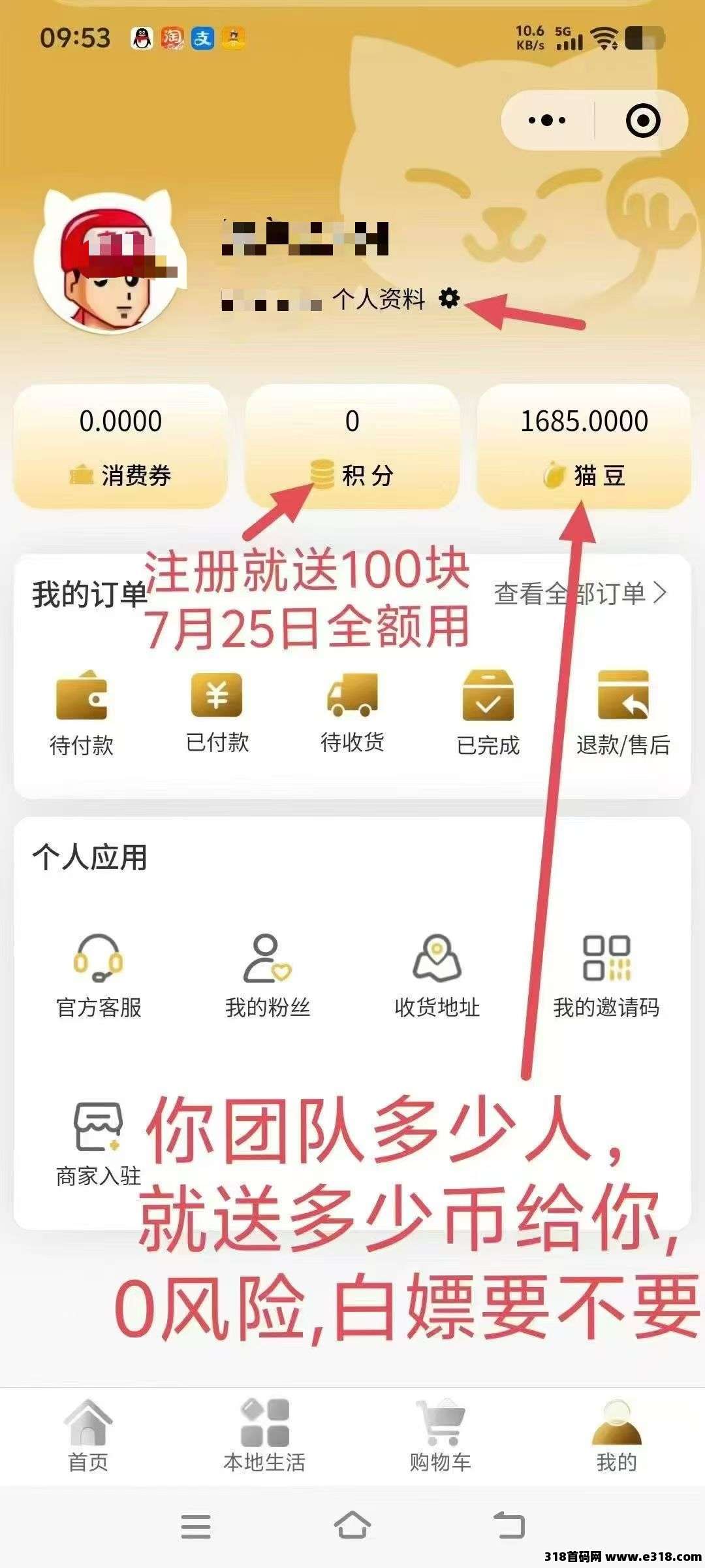 朝财猫品牌，首码预热