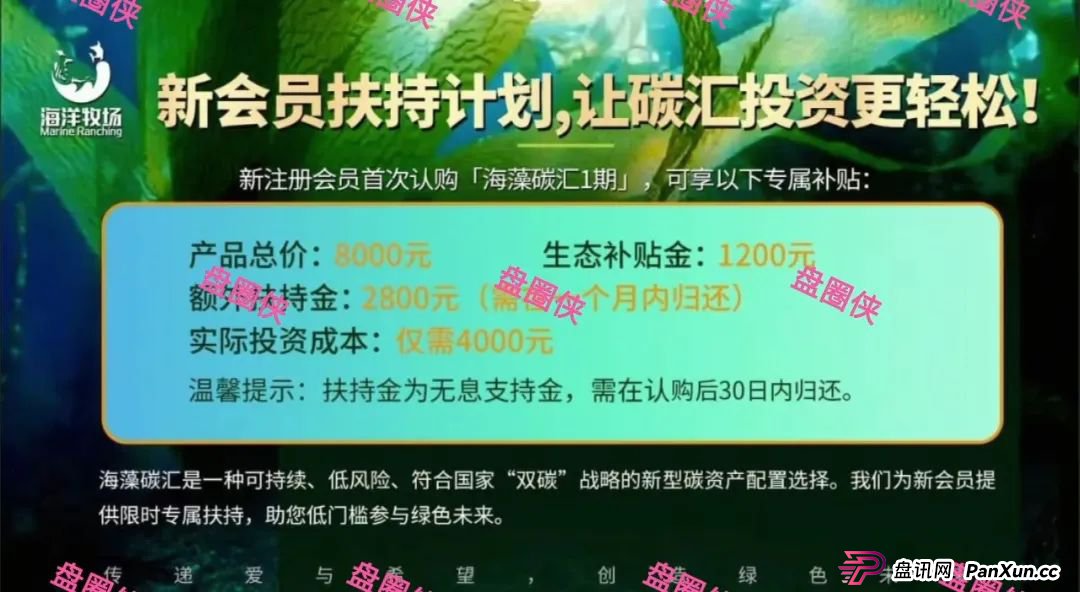 9月23日曝光：最新资金盘骗局《，ARK，olga欧嘉，e充电，CFXH-DAO》随时可能卷钱跑路