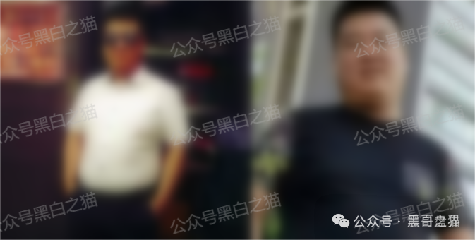 Veridian(维盛社区)资金盘骗局,已经单割,即将崩盘跑路 Veridian(维盛社区)资金盘骗局,已经单割,即将崩盘跑路