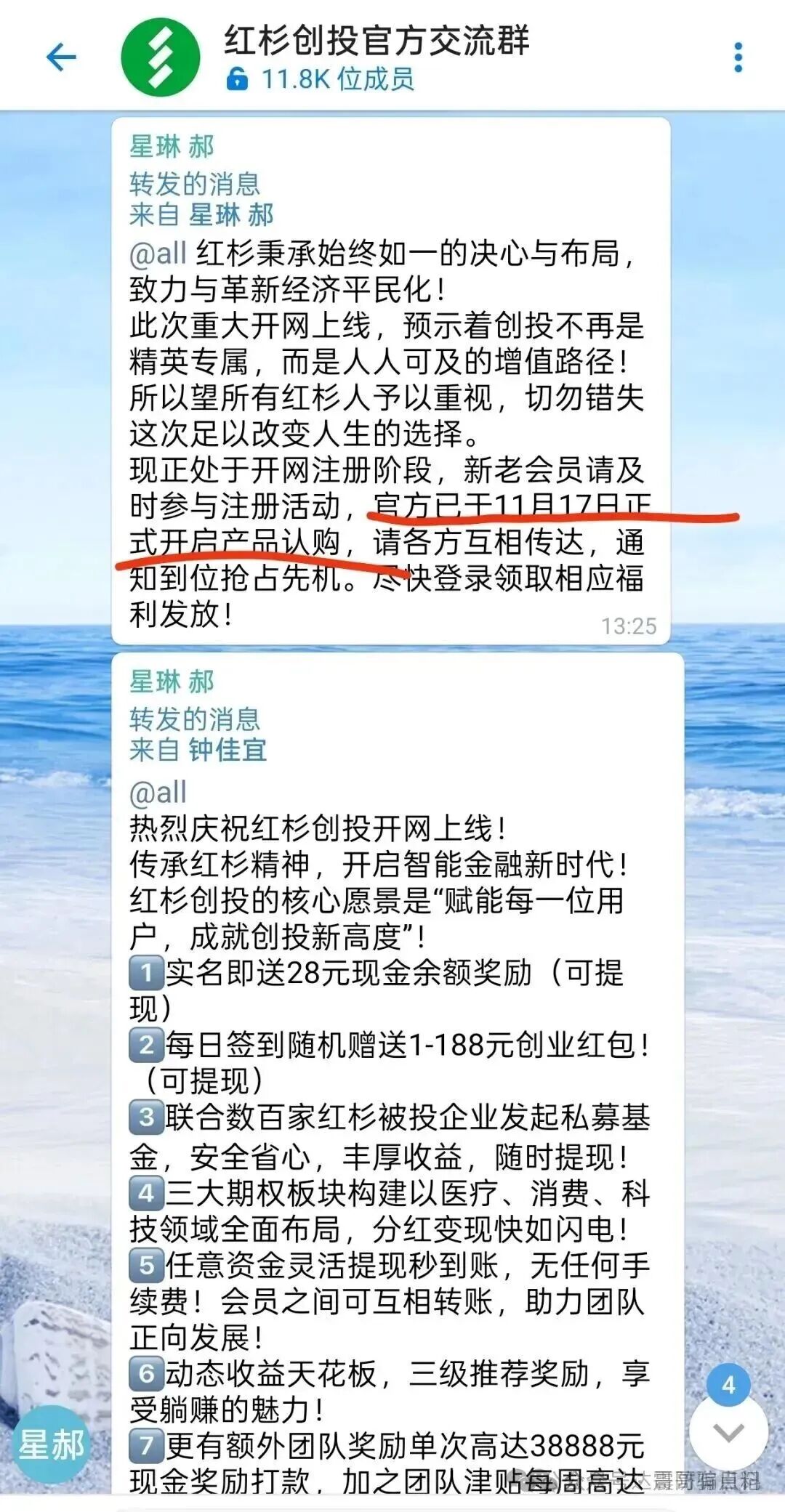 红杉创投资金盘骗局，假冒正规公司，快割项目，看见远离