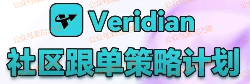 影子曝光｜“Veridian 维盛社区”野鸡交易所起盘2个月，单割小团长，痕迹狡兔三窟，国内踪迹一点就破......