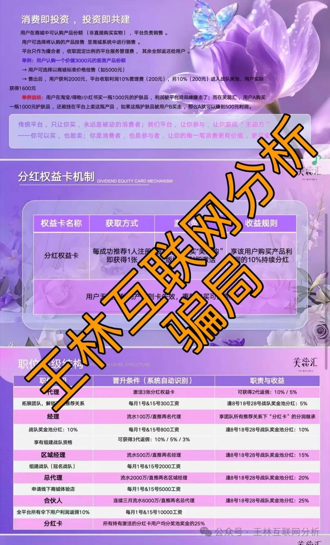 12月24日最新资金盘项目骗局曝光：“鼎亿娱乐、芙蕊汇、筑星源”随时可能卷钱跑路，速度撤离！